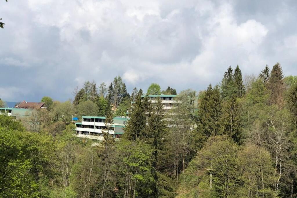 Apartment Harzblick -Neu Modernisiert- Sankt Andreasberg Dış mekan fotoğraf
